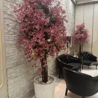 دو عدد درخت شکوفه ای