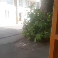 نیرو نگهبانی هستم باغ و ساختمان در حال ساخت.