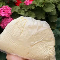 لبنیات محلی دوغ و شیر و ماست چکیده