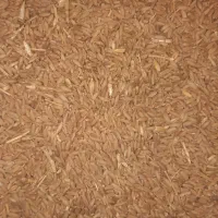 گندم دیم درجه یک