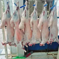 سبد کالا در شهر گوشت دهلران