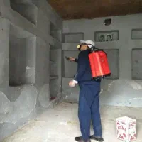 سمپاشی موریانه زدایی تخصصی و تضمینی سوسک ساس موش