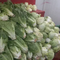کارگر تره بار
