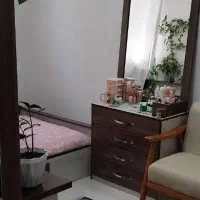 نیروی ساده