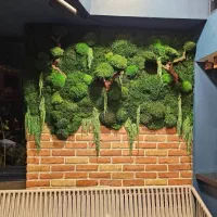 دیوار و تابلو خزه ای طبیعی (ماس وال)