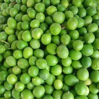 ایمودرشت ودستچین