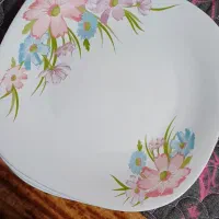سرویس ارکوپال