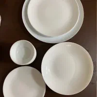 یک دست ارکوپال سفید سالم