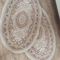 یک جفت پادری بیضی شکل