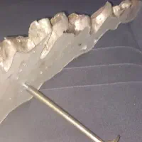 گل میخ پرده|پرده، رانر، رومیزی|مشهد, وحید|دیوار