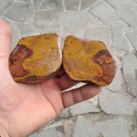 سنگ جاسپر با طرحِ طبیعی سرِ مار