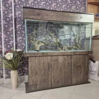 آکواریوم و پایه