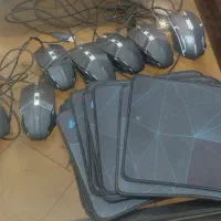 موس و پد موس