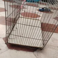 قفس پرنده