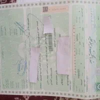 پژو اردی