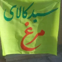 پارچه نویسی و دیوار نویسی