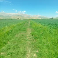 زمین فروشی