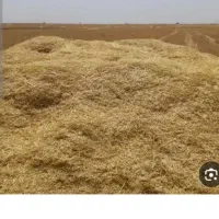 کاه جو