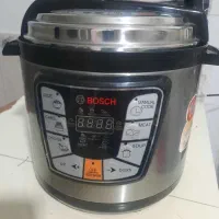 جیپاس برقی مدل بوش
