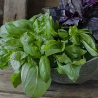 سفارش پاک کردن سبزی پذیرش میشود کیلویی، 30تومن