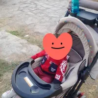 کالسکه دلیجان