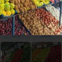 صندوق دار خانم و نیروی کار آقا