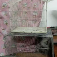 قفس مینا سالم دوعدد