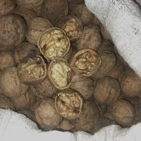 گردو و بادام