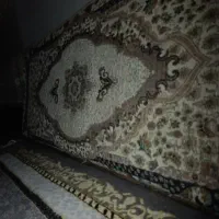 پشتی درحدنو