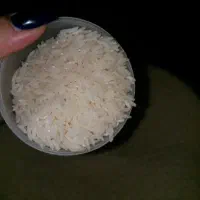 برنج طارم هاشمی درجه یک