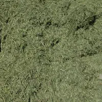 یونجه