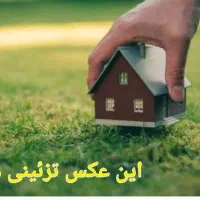 زمین-جاده-سیدمحمدگلابی-پشت-مرغداری-قناد