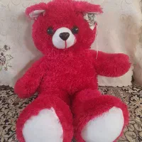 عروسک خرس و گربه