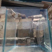 آکواریوم ۱۰۰ تومن ..۲۰۰ ..۳۰۰ همگی زیر قیمت