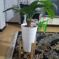 گل وگلدان
