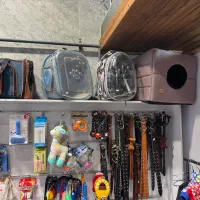 استخدام منشی کلینیک دامپزشکی