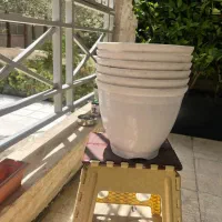 گلدان