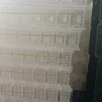 استخدام کارگر ساده خانم