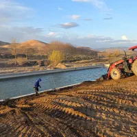 استخر پرورش ماهی کپور