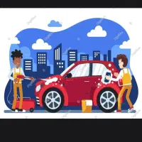 استخدام نیرو کارواش