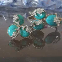 اکسسوری