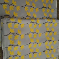 یک جفت رو کوسنی در حده نو