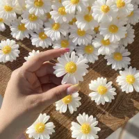 شمع بابونه و وارمر