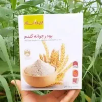 جوانه گندم