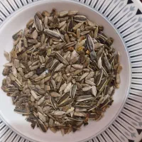مغز تخمه آفتاب گردان آجیلی وروغنی