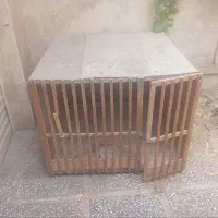 لونه مرغ ، حیوان