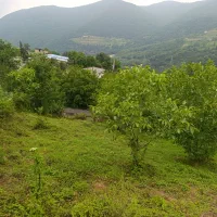 فروش زمین