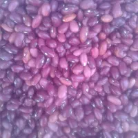 لوبیا قرمز