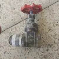 شیر برنجی کیم ایتالیایی