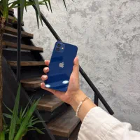 اپل دوازده معمولی کاربنی